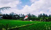 Pintu Lintas Indonesia-PNG Siap Dibuka Lagi, Goodbye Jalan Tikus