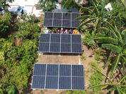 Pertamina Keren! Desa Energi Berdikari Dorong Ekonomi Petani Jamur Karawang