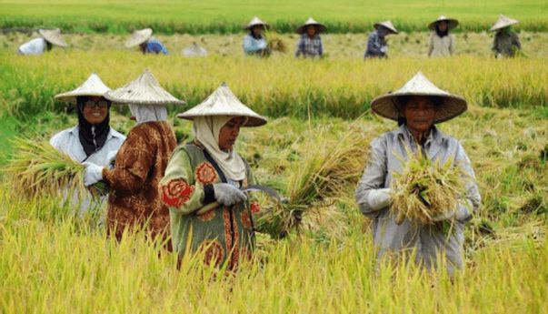 Berita Jogja: Mayoritas Petani, Aliran Air Bersih Sangat Penting untuk Warga Wonorejo