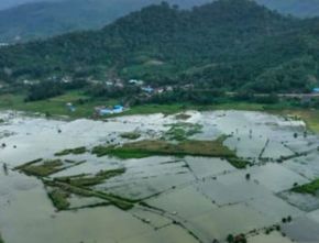 400 Hektare di Konawe Sultra Terendam Banjir akibat Luapan Sungai Aworeka