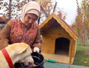 Tak Takut Haram, Emine Erdoğan Istri Presiden Turki yang Berjilbab Ternyata Pecinta Anjing