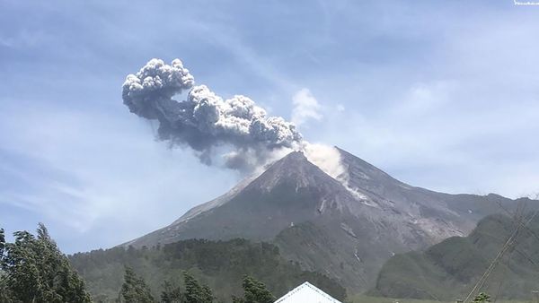 Update Gunung Merapi: Belum Muncul Lava Baru di Puncak
