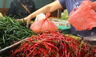 Harga Cabai di Jogja Naik, Ternyata Ini Penyebabnya