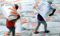 Stok Beras Tinggal 594 Ribu Ton, Negara Tugaskan Bulog Impor Beras