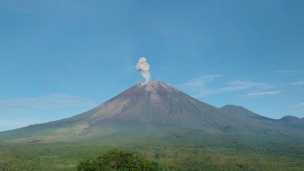 Gunung Semeru Erupsi Senin Pagi, Muntahkan Abu Vulkanik Setinggi 800 Meter