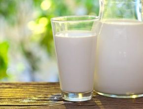 Awas! Minum Susu Sapi Mentah Bisa Menyebabkan Penyakit