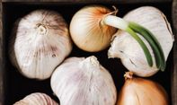 Berbagai Manfaat dan Olahan Kulit Bawang untuk Kesehatan