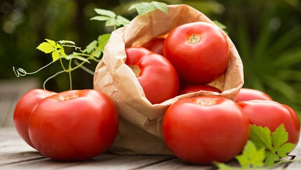 Ilmiah! Penelitian Temukan Makan Tomat Bisa Cegah Kulit Rusak Terbakar Matahari