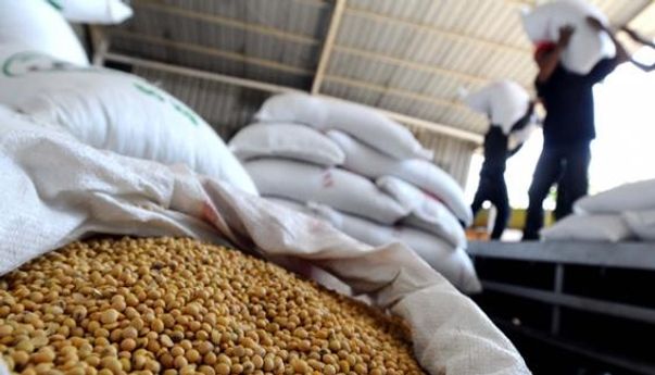 Sudah Ganti Tahun, Harga Kedelai Impor di Gunungkidul Masih Tinggi