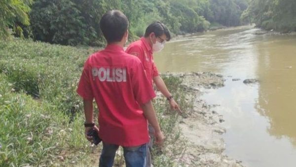 Ribuan Ikan Mati di Sungai Cileungsi, Polisi Lakukan Uji Laboratorium