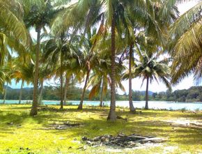 Barita Terkini: Bupati Kepulauan Anambas Bantah Kabar Penjualan Pulau Ayam