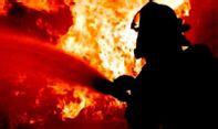 Peternakan di Gunungkidul yang Hangus Terbakar Rugi Puluhan Juta