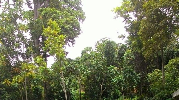 Deretan Tempat Wisata di OKU Timur dengan Pemandangan Luar Biasa