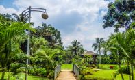 Rekomendasi 3 Taman di Jakarta Selatan dan Sekitarnya