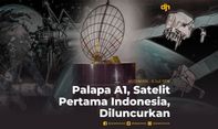 Palapa A1, Satelit Pertama Indonesia, Diluncurkan