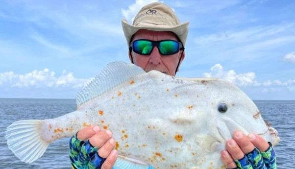 Pemancing di AS Kaget Dapat Ikan Aneh, Kulitnya Mirip Tortilla