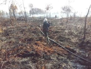 Berita Seputar Jateng: Polisi Bakal Tindak Tegas Pelaku Pembakaran Hutan di Sukoharjo