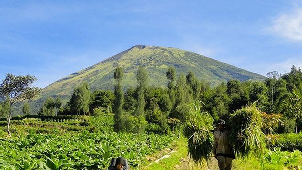 Pengumuman! Jalur Pendakian Gunung Sindoro Ditutup Mulai Tanggal 4 Januari