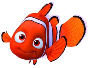 Mengungkap Alasan Kenapa Ikan Nemo Bergaris Tiga