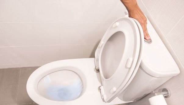 Ini Rekomendasi Merk Pembersih Kamar Mandi yang Ampuh Usir Bau dan Kotoran