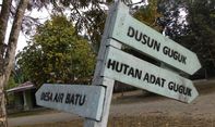 Tebang Pohon di Hutan Adat Guguk Jambi, Dendanya bisa Bikin Kamu Miskin