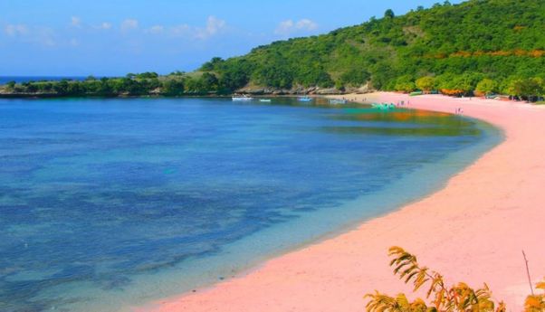 Pesona Pasir Berwarna Pink di Pantai Tangsi Lombok