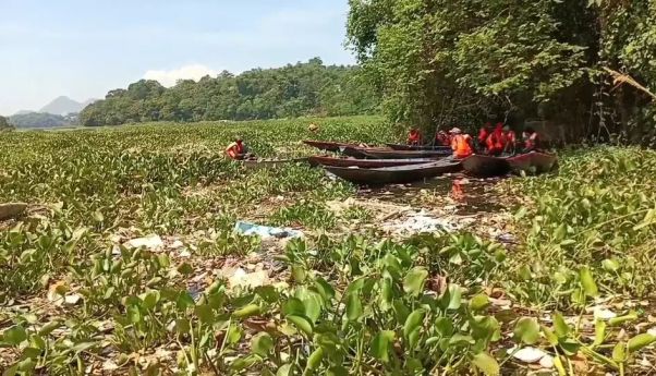 Eceng Gondok di PLTA Saguling Ancam Operasional, TNI dan Warga Turun Tangan?
