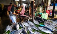 Sudah Punya PLTU dan Pelabuhan, Kawasan Celukan Bawang Juga Bakal Dibangun Pasar Ikan