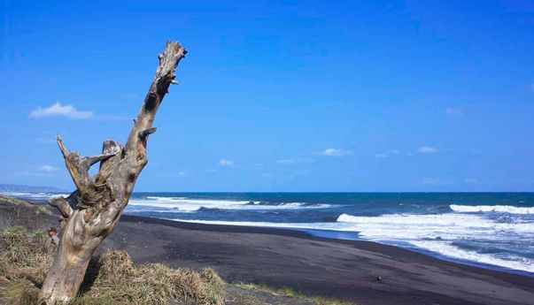 Berita Kecelakaan Jogja: Di Hari yang Sama, Kecelakaan Air Terjadi di Pantai Goa Cemara dan Sungai Progo