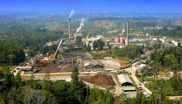 15 Alasan dari Ketua PGI yang Minta PT Toba Pulp Lestari Harus Ditutup