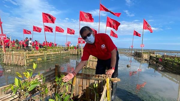 Peringatan HUT Megawati, PDIP Tanam Pohon di Bantaran Sungai Surabaya