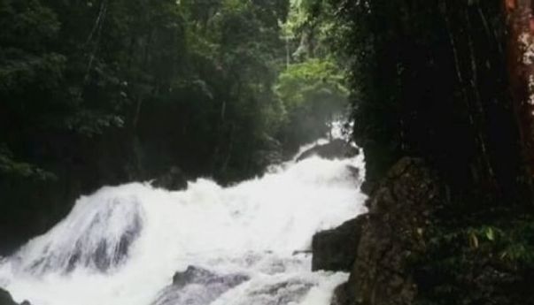 PLTA Kayan dan Program Ketahanan Energi di Kalimantan