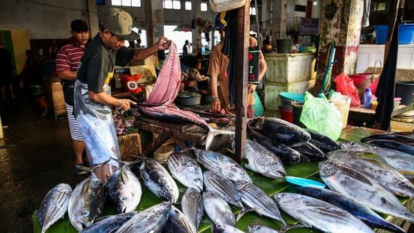 Sudah Punya PLTU dan Pelabuhan, Kawasan Celukan Bawang Juga Bakal Dibangun Pasar Ikan
