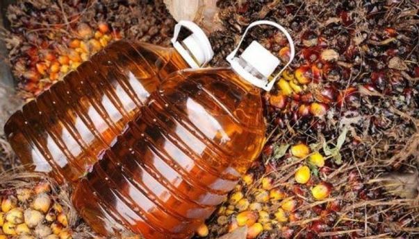 Pemerintah Gagal Kelola Harga Sawit Petani, Rizal Ramli: Urus yang Berlimpah Saja Ndak Bisa