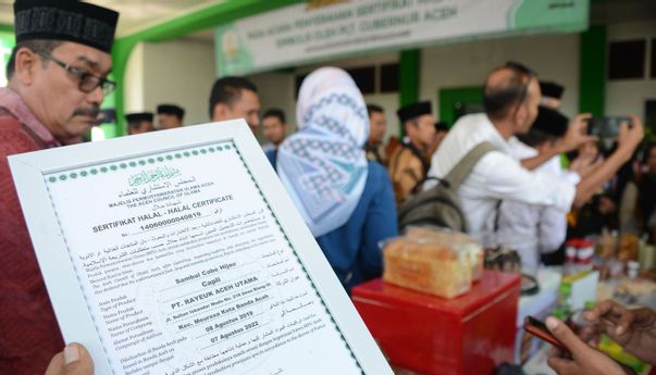 Luar Biasa! Kebutuhan Anggaran Sertifikasi Halal UMKM Capai Rp12,6 T. Untuk Apa Saja?