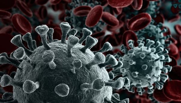 Kata Peneliti UGM Soal Temuan Mutasi Virus Corona dan Tingginya Kasus Covid-19 di DIY dan Jateng