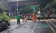 Akibat Cuaca Ekstrem, 14 Pohon Tumbang di Jakarta Timpa Bangunan hingga 4 Orang Luka