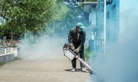 Berita Jogja Update: DBD, 2 Warga Sleman Meninggal Dunia