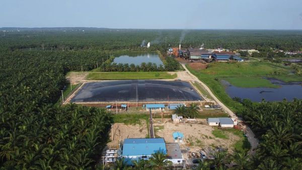 Pengolahan Limbah Sawit Menjadi Energi Biogas: Solusi Berkelanjutan untuk Industri Kelapa Sawit?