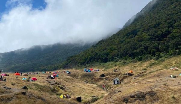 BBTNGGP Terapkan Sanksi Tegas, Pendaki Nakal di Gunung Gede-Pangrango Bakal Masuk Daftar Hitam