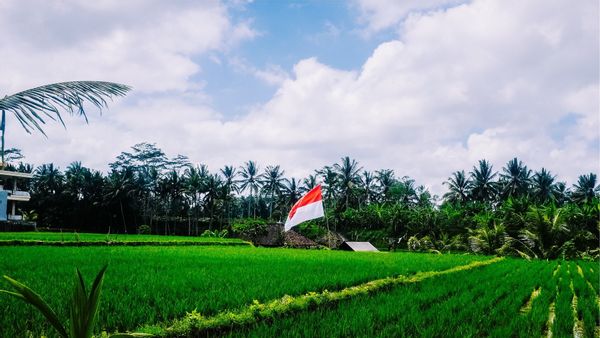 Pintu Lintas Indonesia-PNG Siap Dibuka Lagi, Goodbye Jalan Tikus