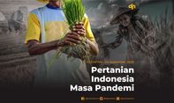 Pertanian Indonesia Masa Pandemi