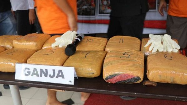 Bawa Ganja 52 Kilogram, Oknum TNI di Banten Ditangkap BNN