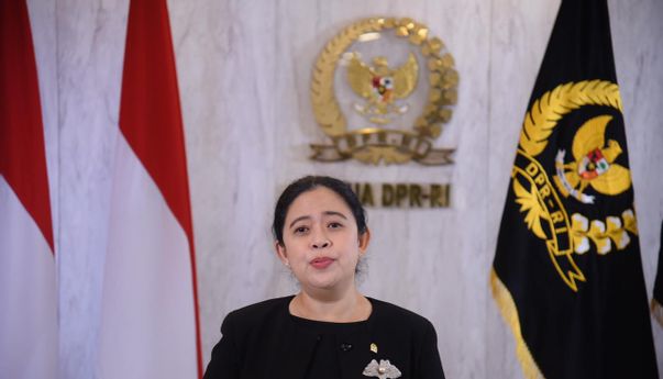 Puan Akui Minimnya Informasi Warga Desa Soal Bahaya Covid: Virus ini Tak Pandang Wilayah