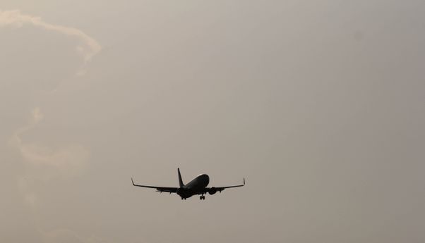 Bukti Mafia Karantina Harus Disikat, Ada WN India Charter Pesawat Bawa Mutasi Virus B1617