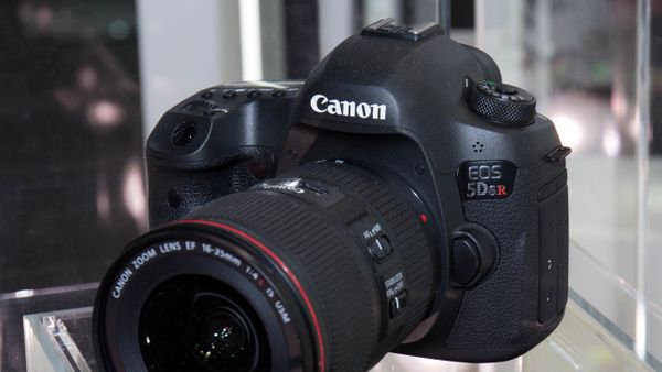 5 Pilihan Kamera DSLR Canon Terbaik untuk Hobi Fotografi