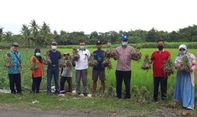 Dilanda Cuaca Ekstrem, Sembilan Kelompok Tani di Bantul Sukses Panen Bawang Merah