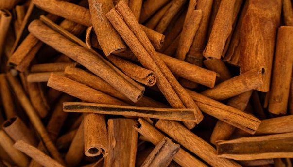 Ragam Manfaat Kulit Kayu Manis untuk Kesehatan, Salah Satunya Kaya Antioksidan
