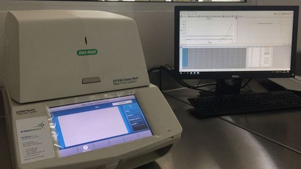 Berita Seputar Jogja: Pemkab Sleman Datangkan 2 Alat PCR dari Amerika Senilai 2,8 Miliar
