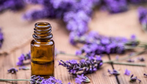 Baik untuk Perawatan Kulit, Inilah Manfaat Lavender Oil untuk Perempuan
